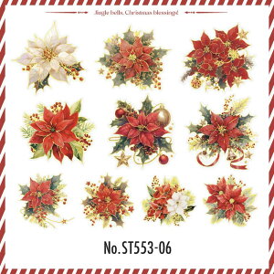 ST553 V[ NX}X t[ |CZ`A  NX}Xc[ t[NV[ PET R[W f R[W V[ R[WV[ R[Wf XebJ[  蒠 L 