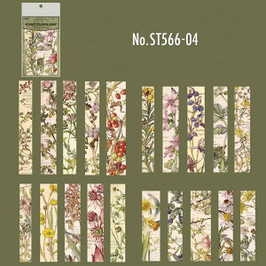 ST566 V[ F   w\ { A W[ K  x a R[W f R[W V[ R[WV[ R[Wf XebJ[  蒠 L WNW[i