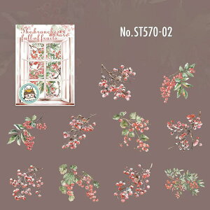 ST570 V[  u[x[ uhE Ԃ Yx[ V TN{ ǂ񂮂 PET R[W f R[W V[ R[WV[ R[Wf XebJ[  蒠 L W