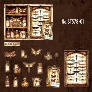 ST578 �V�[�� �{ �r �{�g�� ��i �[�� �h�N�� �� �� ���X �g���{ �W�{ PET �R���[�W�� �f�� �R���[�W�� �V�[�� �R���[�W���V�[�� �R���[�W���f�� �X�e�b�J�[ ������ �蒠 ���L �W�����N�W���[�i