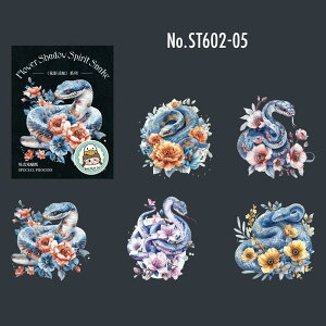 ST602  wr  Ŏ N x ւ Xl[N T[yg oCp[ PET R[Wf V[ R[WV[ XebJ[ 蒠 fR L WNW[i AeB[N Be[