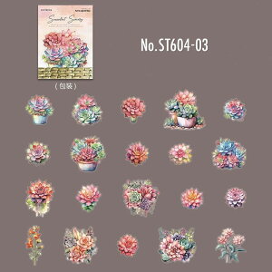 ST604 A ϗtA  A GPxA Z_ 񂹐A PET R[Wf V[ R[WV[ XebJ[ 蒠 fR L WNW[i AeB[N Be[W g