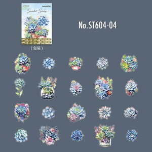 ST604 A ϗtA  A GPxA Z_ 񂹐A PET R[Wf V[ R[WV[ XebJ[ 蒠 fR L WNW[i AeB[N Be[W g