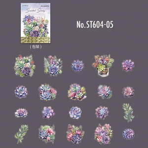 ST604 A ϗtA  A GPxA Z_ 񂹐A PET R[Wf V[ R[WV[ XebJ[ 蒠 fR L WNW[i AeB[N Be[W g