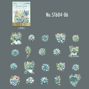 ST604 A ϗtA  A GPxA Z_ 񂹐A PET R[Wf V[ R[WV[ XebJ[ 蒠 fR L WNW[i AeB[N Be[W g