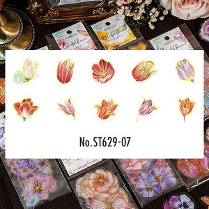 ST629  t[  o q} pW[ `[bv PET R[Wf V[ R[WV[ XebJ[ 蒠 fR L WNW[i AeB[N Be[W g