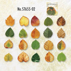 ST655 t ͗t gt ~W  C`E t H PET R[Wf R[W V[ XebJ[  蒠 L CO m 