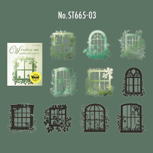 ST665 eG VGbg  g t[ L q X  A PET R[Wf R[W V[ XebJ[  蒠 L CO m 