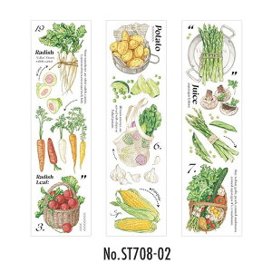 ST708   ubR[ 卪 jW gERV J{` g}g R[Wf R[W V[ XebJ[  蒠 L CO m 