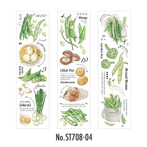 ST708   ubR[ 卪 jW gERV J{` g}g R[Wf R[W V[ XebJ[  蒠 L CO m 