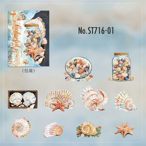 ST716 C̐ Lk NQ NW V` CJ  Mы TS X R[Wf R[W V[ XebJ[  蒠 L CO m 