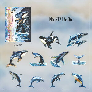 ST716 C̐ Lk NQ NW V` CJ  Mы TS X R[Wf R[W V[ XebJ[  蒠 L CO m 