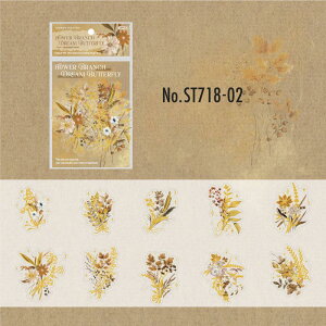 ST718   A  o   u[P [X R[Wf R[W V[ XebJ[  蒠 L CO m 