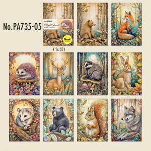 PA735  Lcl N} VJ nlY~ X  ETM tNE R[W f f fUCy[p[ wi  蒠 L CO m 