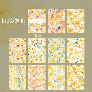 PA739  Jt  RXX t gt R[W f f fUCy[p[ wi  蒠 L CO m 