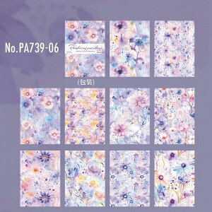 PA739  Jt  RXX t gt R[W f f fUCy[p[ wi  蒠 L CO m 