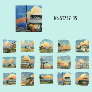 ST757 i iF ؓ d oX C cɓ ci R[Wf R[W V[ XebJ[  蒠 L CO m 