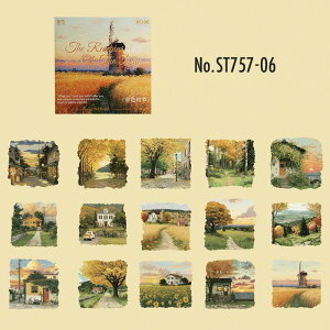 ST757 i iF ؓ d oX C cɓ ci R[Wf R[W V[ XebJ[  蒠 L CO m 