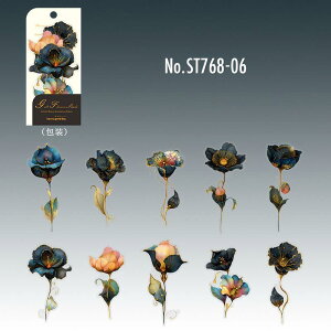 ST768 A  o q} t   R[Wf R[W V[ XebJ[  蒠 L CO m 