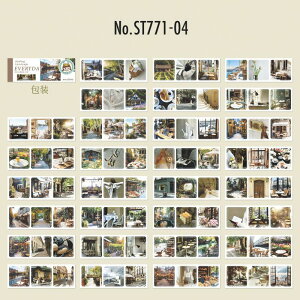ST771 i ʐ^ iF  V[ubN R[Wf R[W V[ XebJ[  蒠 L CO m 