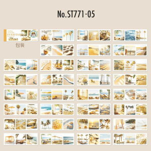 ST771 i ʐ^ iF  V[ubN R[Wf R[W V[ XebJ[  蒠 L CO m 