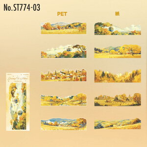 ST774 iF i C  xmR gt ፑ lG tďH~ V[ubN R[Wf R[W V[ XebJ[  蒠 L CO m 