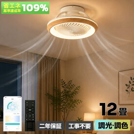 【炎暑対策】シーリングファンライト LED シーリングライト 8〜12畳対応 DCモーター 360°首振り 正逆回転 調光調色 ファン付き照明 薄型 軽量 静音 6段階風量 扇風機 省エネ リモコン アプリ対応