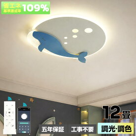 【5年保証】シーリングライト LED おしゃれ 6畳 8畳 10畳 調光調色 間接照明 導光板 薄型 常夜灯 リモコン付き おやすみタイマー 無段階調光調色 天井照明 明るい 北欧 リビング 寝室 子供部屋 和室 洋室 インテリア照明 ホワイト 省エネ 照明器具高級