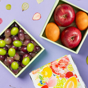 [p]{̍YƃVC}XJbgȂǂ̃~jdZbg ʕlߍ킹 t[cMtg lߍ킹 Mtg  v[g t[c  ʕ t[cZbg Zbg V