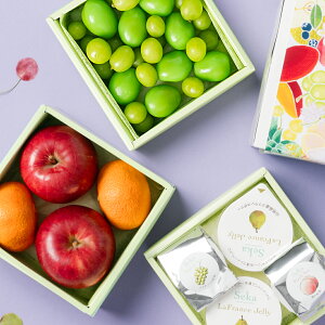 [p]{̍YVC}XJbg&R`tX[[ƃt[ceB[3idZbg t[cMtg lߍ킹 t[c  VC}XJbg ` ݂ [[ g t