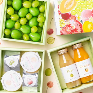 [p]{̍YVC}XJbg&R[[ƃt[ceB[&Y100%W[X3idZbg t[cMtg lߍ킹 t[c ʕ  Ԃǂ VC}XJbg W