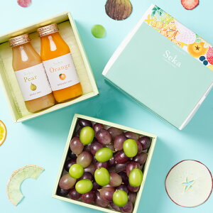 [p]{̍YԂǂƃVC}XJbg&Y100%W[X̃~jdZbg ʕlߍ킹 t[cMtg lߍ킹 Mtg Zbg  v[g t[c  Ԃǂ 