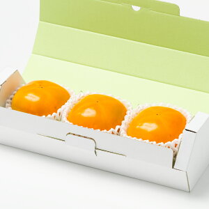 [p]Y`̐Hהׁi2v3ʁj ʕlߍ킹 t[cMtg lߍ킹 Mtg t[c ʕ  Y {  킢 V  j j s꒼ j  