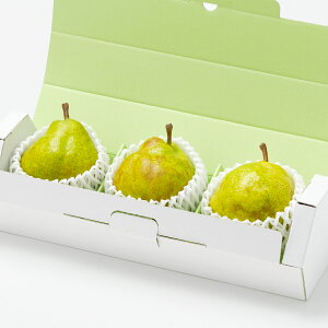 [p]YEtXi3ʁj ʕlߍ킹 t[cMtg t[clߍ킹 ʕMtg Mtg Zbg lߍ킹  v[g t[c ʕ  EtX m 