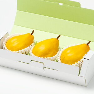 [p]YEN`Fmi3ʁj ʕlߍ킹 t[cMtg lߍ킹 Mtg v[g t[c ʕ Y {  킢 V  j j s꒼  䋟 