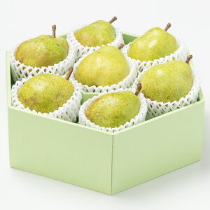 [p]R`YEtXi7ʁj ʕlߍ킹 t[cMtg lߍ킹 Mtg  v[g t[c ʕ  tX Y {  V a av[