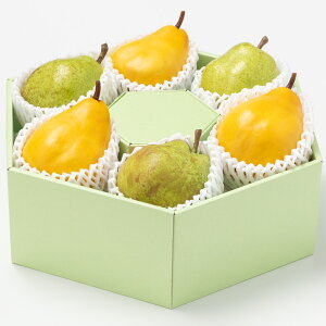 Ym̐Hה[ N`F&EtX]i6ʁjj ʕlߍ킹 t[cMtg lߍ킹 Mtg  v[g t[c ʕ  tX Y {  V s