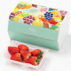 [贈答用]栃木県産大粒いちご とちあいか／とちおとめ（1パック） 果物詰め合わせ フルーツギフト 詰め合わせ ギフト フルーツ 果物 くだもの いちご 国産 旬 おしゃれ かわいい 御礼 御祝 内祝 市場直送 お見舞い 御見舞 誕生日プレゼント 冬ギフト 栃木 高級 お祝 内祝い