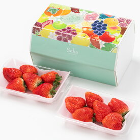 [贈答用]栃木県産大粒いちご とちあいか／とちおとめ（2パック） フルーツ詰め合わせ フルーツギフト 詰め合わせ ギフト フルーツ 果物 くだもの いちご 苺 イチゴ 国産 旬 おしゃれ かわいい 御礼 御祝 内祝 御見舞 誕生日プレゼント 栃木 高級 お祝 内祝い 誕生日 セット