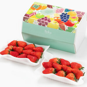 [p]ҍ i2pbNj ʕlߍ킹 t[cMtg lߍ킹 Mtg t[c  C`S Y {  킢  j j s꒼ j 䋟  