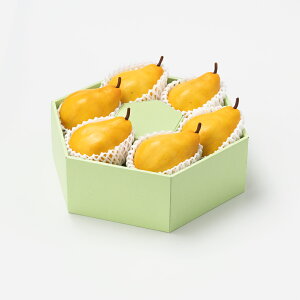 [p]Y  N`FmiVi6ʁj ʕlߍ킹 t[cMtg lߍ킹 Mtg v[g t[c ʕ  Y { miV  킢 V  j j a