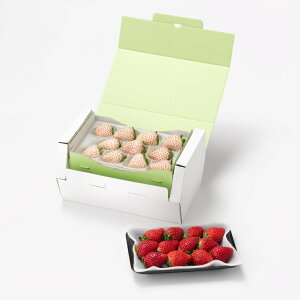 [p]Yg̐Hהׁie1pbNj ʕlߍ킹 t[cMtg lߍ킹 Mtg t[c  C`S   Y {  킢  j j s꒼