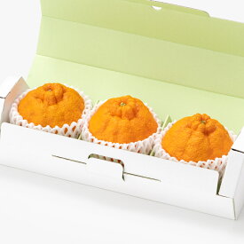 [贈答用]国産デコポン（3玉） 果物詰め合わせ フルーツギフト 詰め合わせ ギフト フルーツギフト 贈答 プレゼント フルーツ 果物 くだもの 柑橘 デコポン 国産 旬 おしゃれ かわいい 市場直送 仲卸 市場 供物 お祝 御祝 お礼 御礼 内祝 御見舞 見舞 高級 御供 御供物 誕生日