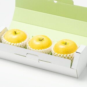 ySALEz[p]Y F񂲁i3ʁj ʕlߍ킹 t[cMtg lߍ킹 Mtg t[c  S F Y {  킢 V s s꒼  j 䌩