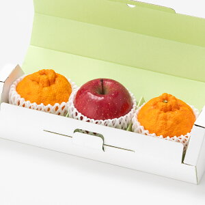 [p]YfR|i2ʁjƃTӂi1ʁj ʕlߍ킹 t[cMtg lߍ킹 Mtg Zbg  v[g t[c ʕ   k fR| Y {  