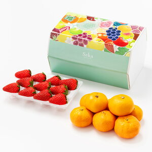 [p]Yi1pbNjƂ݂i6`7ʁj ʕlߍ킹 t[cMtg lߍ킹 Mtg t[c  C`S ~J Y {  킢  j j s꒼ 