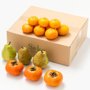 [p]sptEtXi3ʁjAxL`i3ʁjAQ݂i9ʁj ʕlߍ킹 t[cMtg lߍ킹 Mtg t[c  tX ~J ` {xL` 