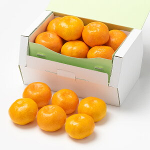 [p]؏n݂ Vi1.7kgj ʕlߍ킹 t[cMtg lߍ킹 Mtg t[c  ݂ Y {  킢 V  j j s꒼ j  䋟 