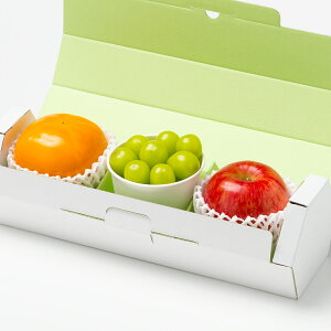 [p]YVC}XJbgi1JbvjƂ񂲁i1ʁjƊ`i1ʁjʕlߍ킹 t[cMtg lߍ킹 Mtg t[c  Y {  킢 V  j 