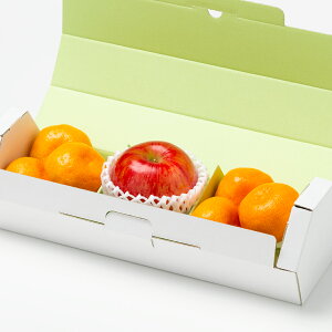 [p]Y݂i6ʁjƐԂ񂲁i1ʁjʕlߍ킹 t[cMtg lߍ킹 Mtg Zbg t[c ʕ  ݂  Y {  킢 V  j 